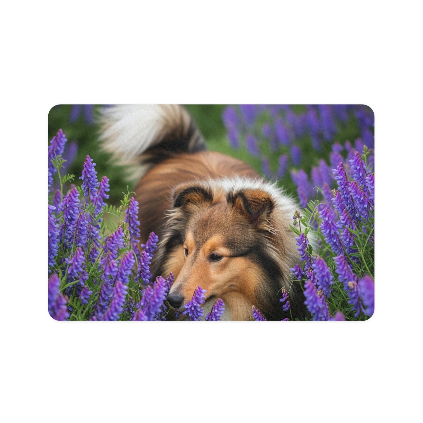 Pet Food Mat (12x18) - Shetland Sheepdog