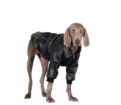 Dog Clothes For Medium To Large Breeds Autumn Black Leather