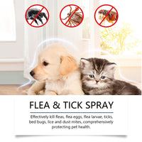 Pet Insect Repellent Spray, Dog And Cat Hair And Skin Insect