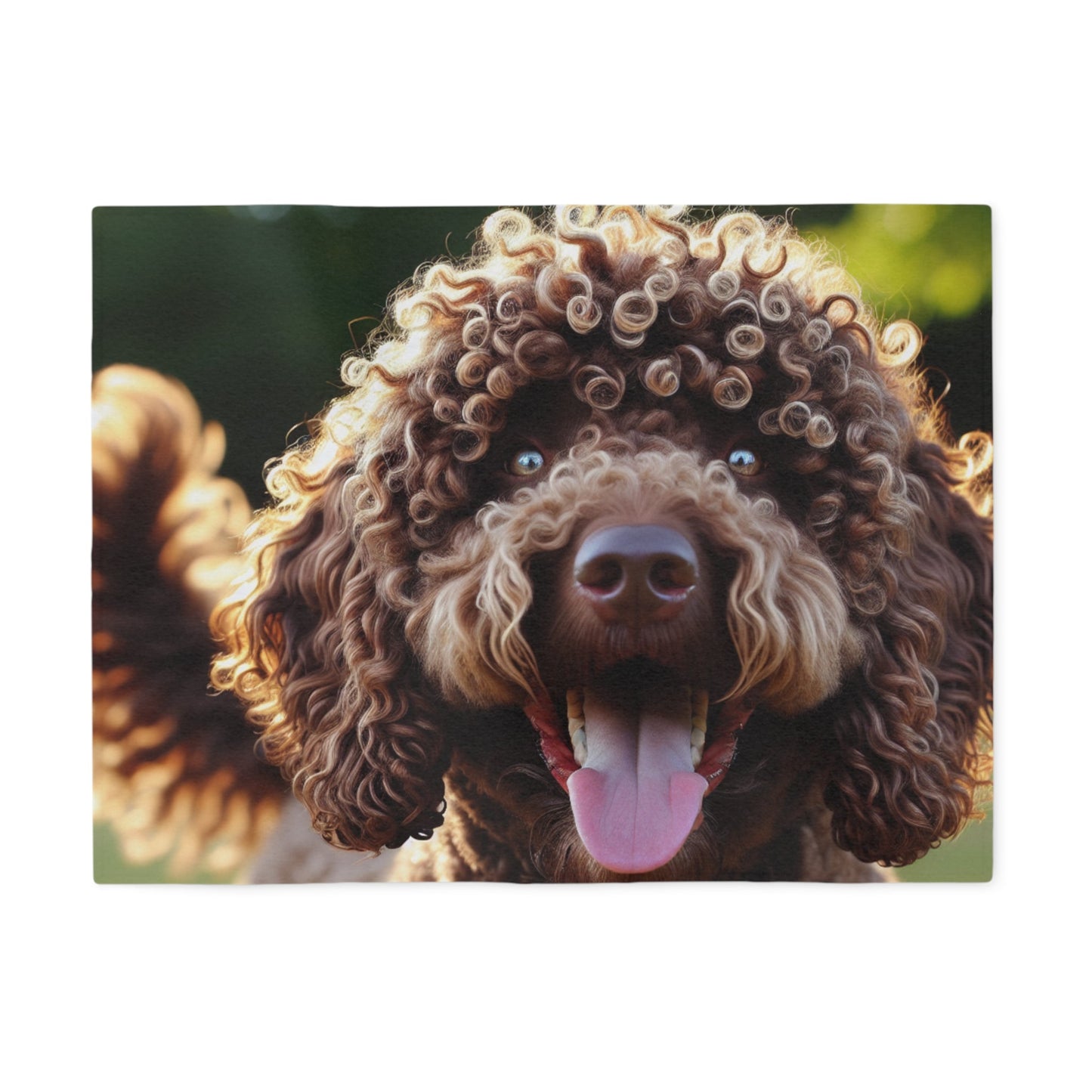 Curly Coated Retriever Sweatshirt Blanket