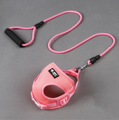 Durable Pawsitive Dog Leash and Matching Collar Combo Set