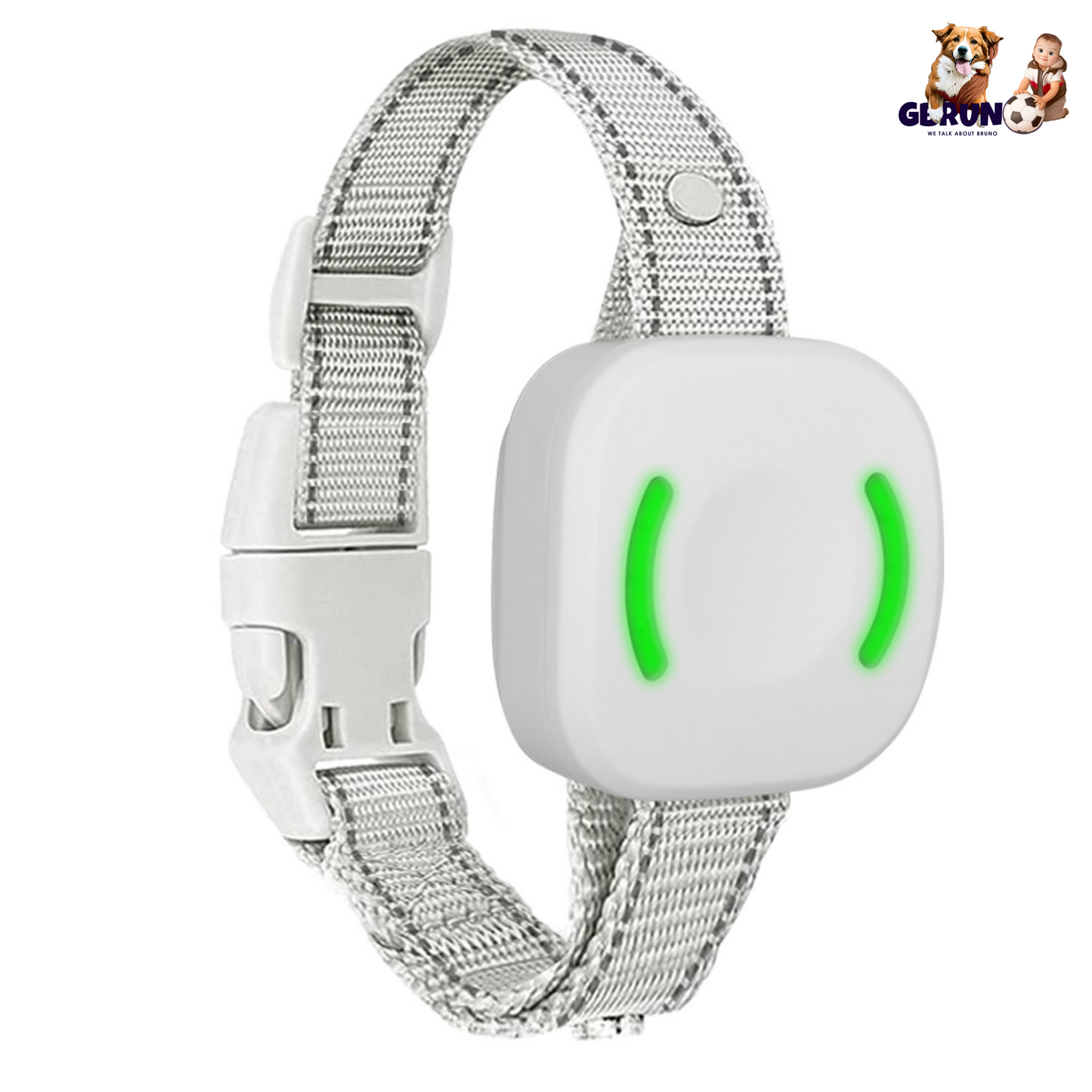 GBruno IP67 Waterproof Electric Dog Training Collar