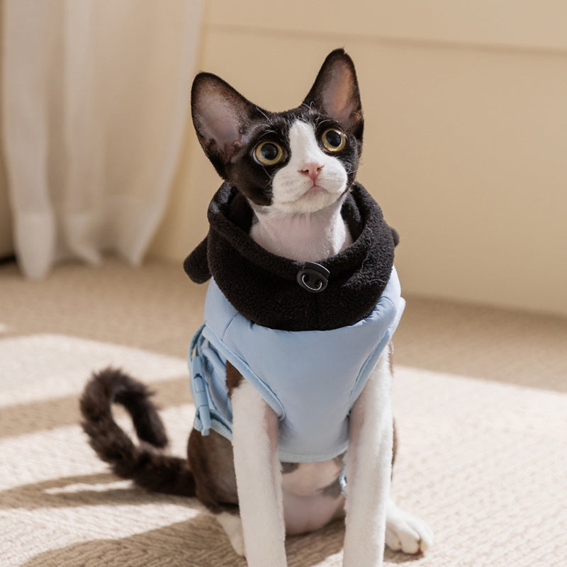 Autumn And Winter Cat Hairless Warm Cartoon Embroidered