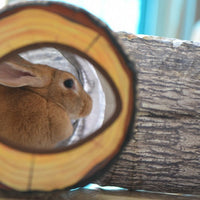 Collapsible Tunnel 4 Way Pet Tunnel
