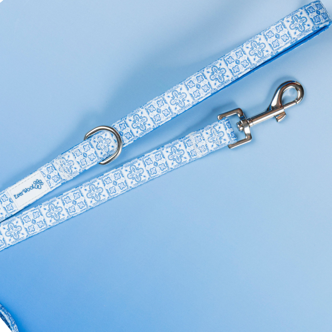 Pet Leash Santorini Leash for Daily Use for Comfort Essentia - main product image for pet leash