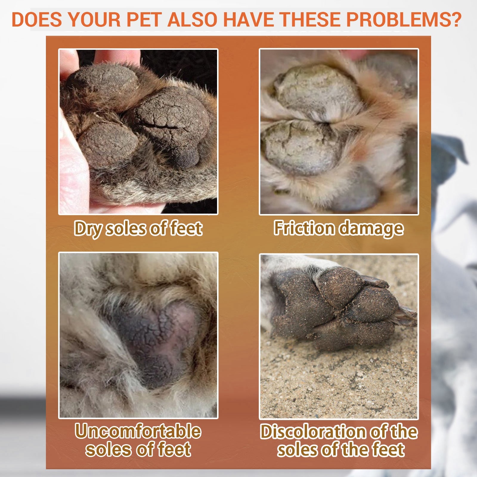 Pet Paw Care Cream, Moisturizing And Anti-Dry Crack Cat And Dog Foot Care Pad Paw Care Cream - Purrfect Pet Kingdom