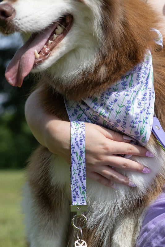 Lavender Blooms Dog Bandana & Matching Keychain - Purrfect Pet Kingdom