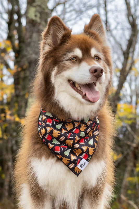 Woodland Tales Dog Bandana - Purrfect Pet Kingdom