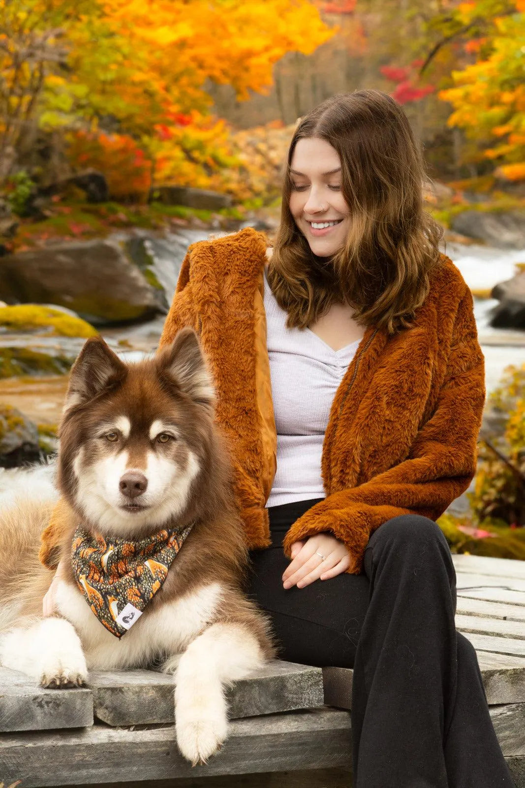 Foxes in Fall Dog Bandana - Purrfect Pet Kingdom