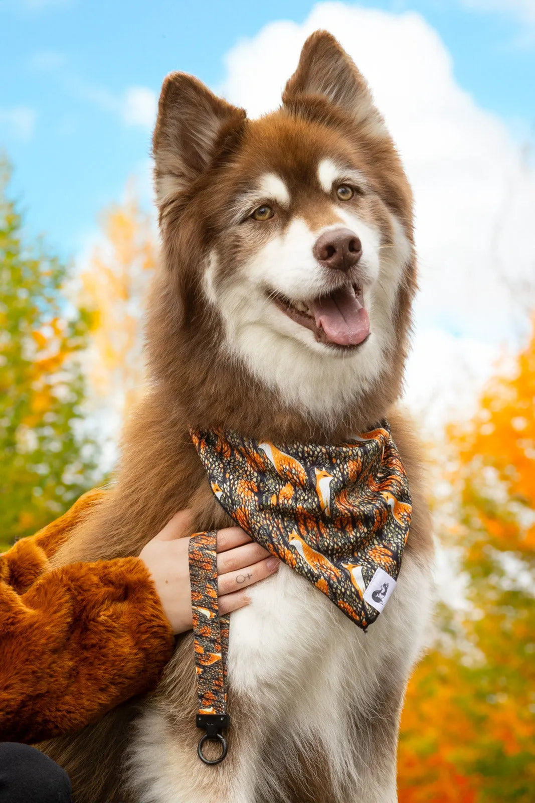 Foxes in Fall Dog Bandana & Matching Keychain - Purrfect Pet Kingdom