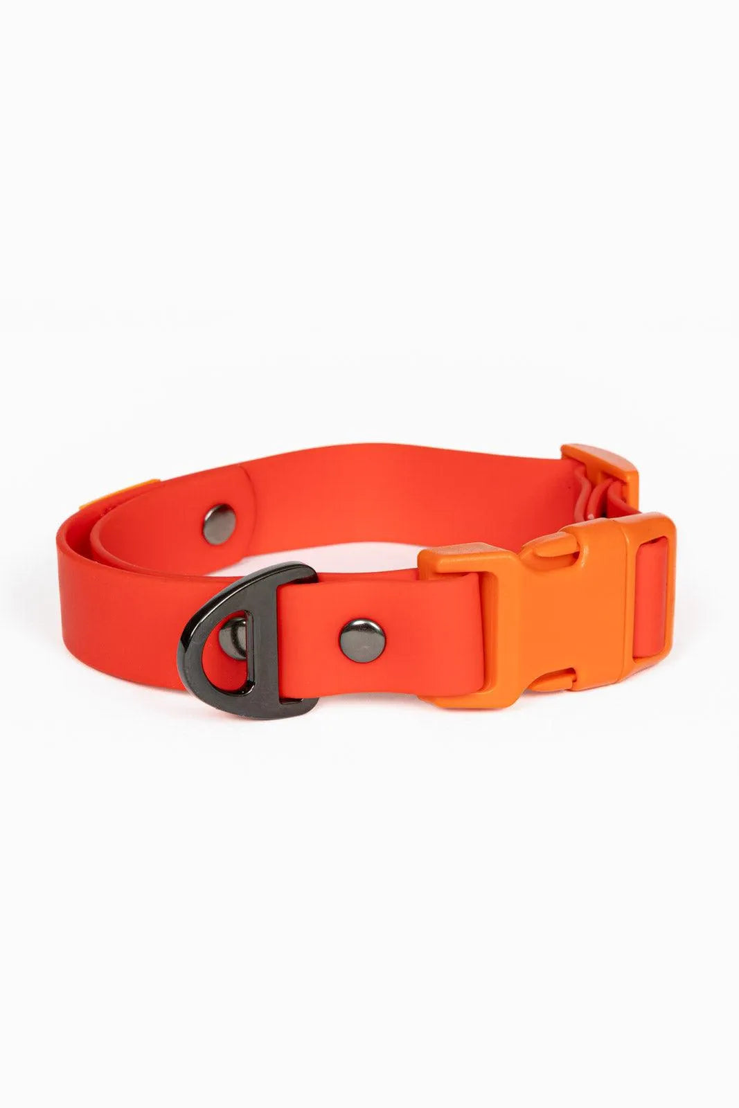 Scarlet Peaks Waterproof Dog Collar - Dog Collar - Aria the Fox - Autumn Red / Flame Orange - 11 - 13 - CO24SP01