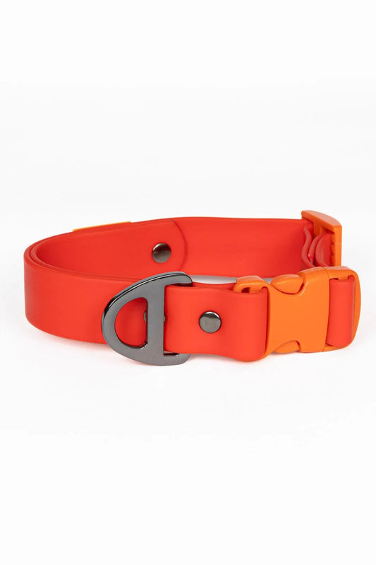 Scarlet Peaks Waterproof Dog Collar - Dog Collar - Aria the Fox