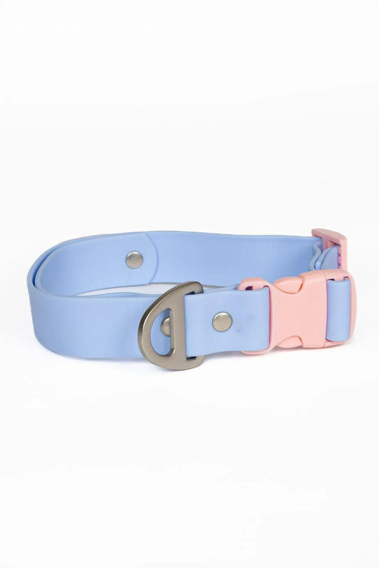 Blue Sky Orchid Waterproof Dog Collar - Dog Collar - Aria the Fox