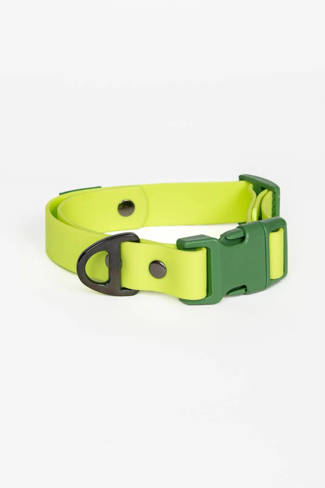 Mossy Pine Waterproof Dog Collar - Dog Collar - Aria the Fox - Chartreuse / Willow Green - 11 - 13 - CO24MP01
