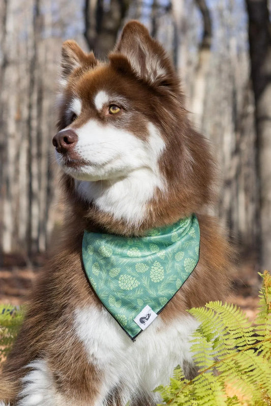 Dog Bandana Pine Cone Pup Winter Holiday Design ✅