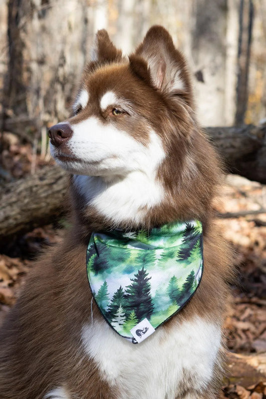 Evergreen Explorer Dog Bandana - Purrfect Pet Kingdom