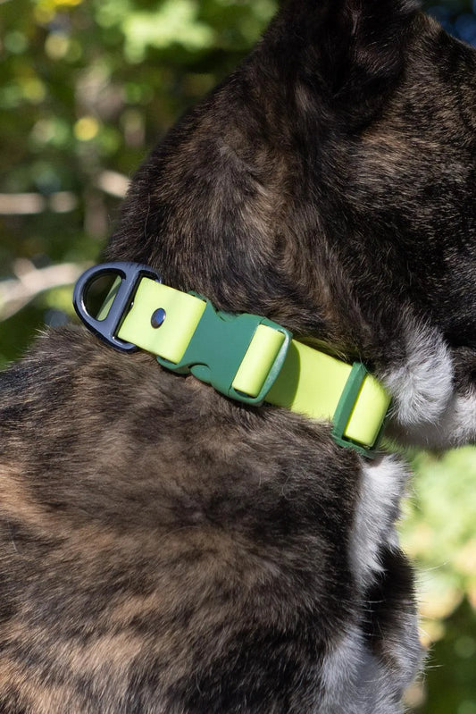 Mossy Pine Waterproof Dog Collar - Dog Collar - Aria the Fox