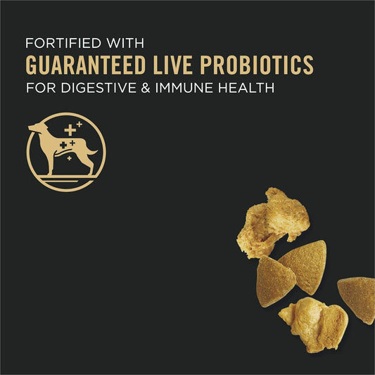 Pro Plan Adult Complete Essentials Shredded Blend Chicken & Rice Dry Dog Food - Pro Plan Dry Dog Food - The Family Pet