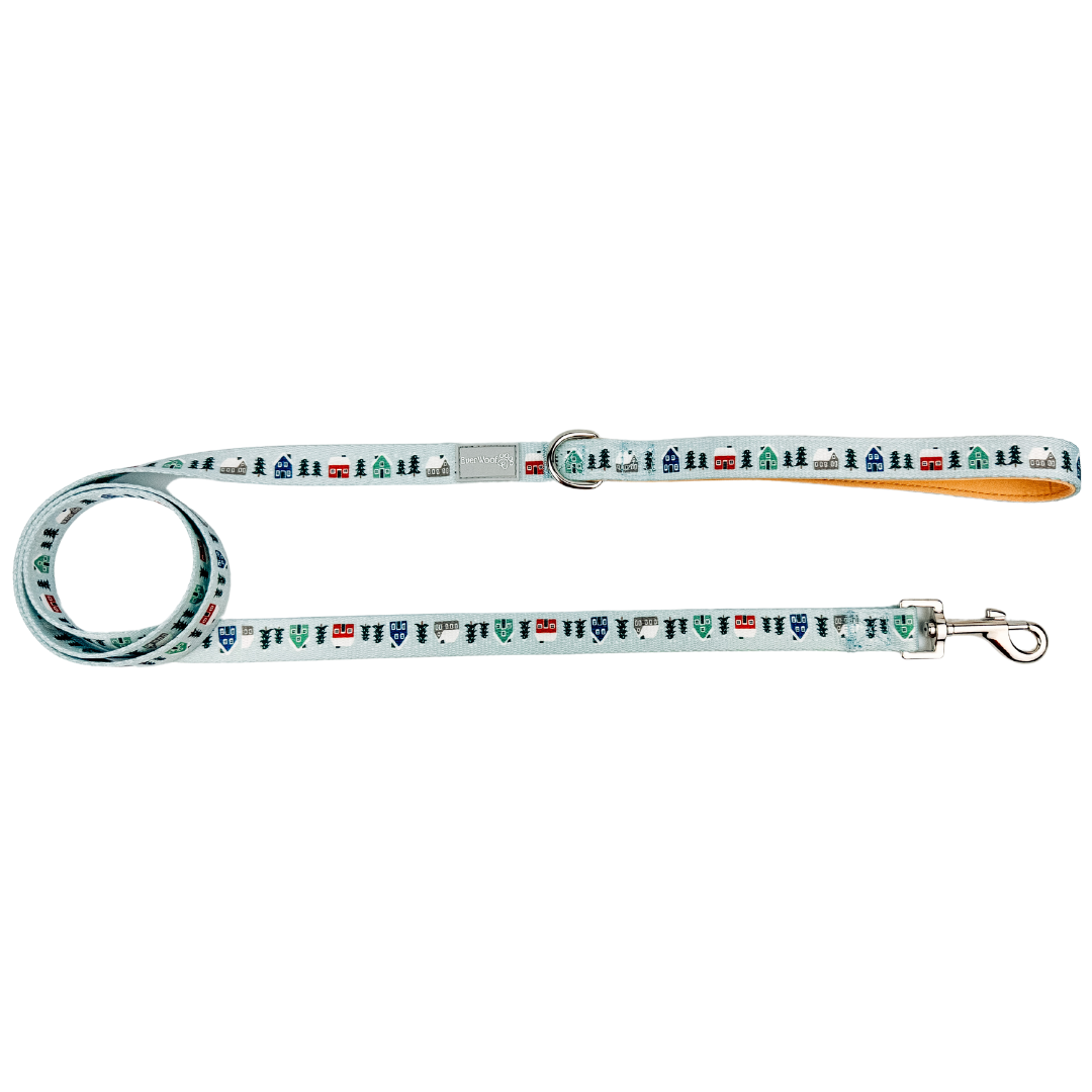 Snowy Slopes Leash