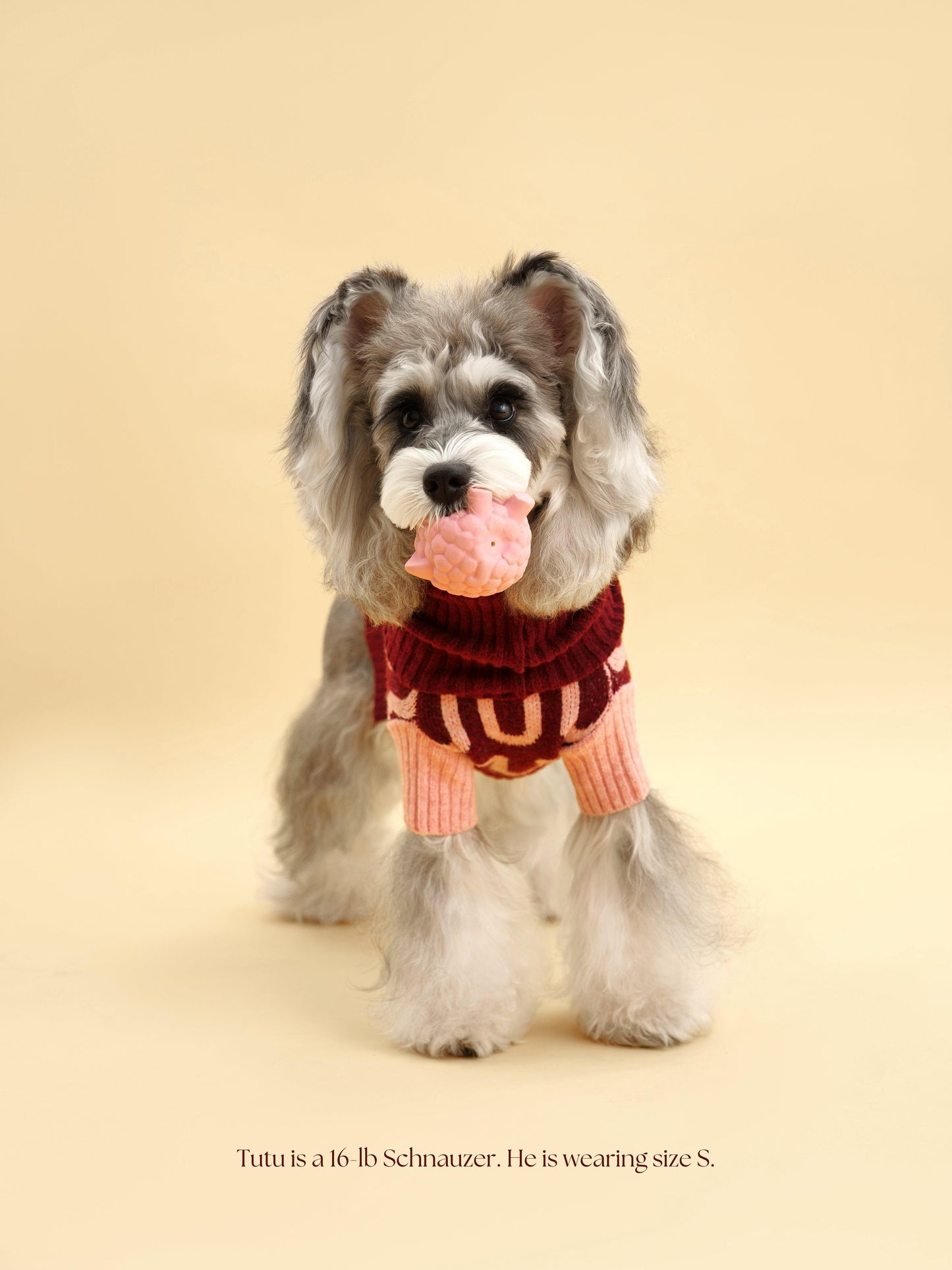 Rosé Bliss Sweater - Dog Sweater - BarkBarkBaby