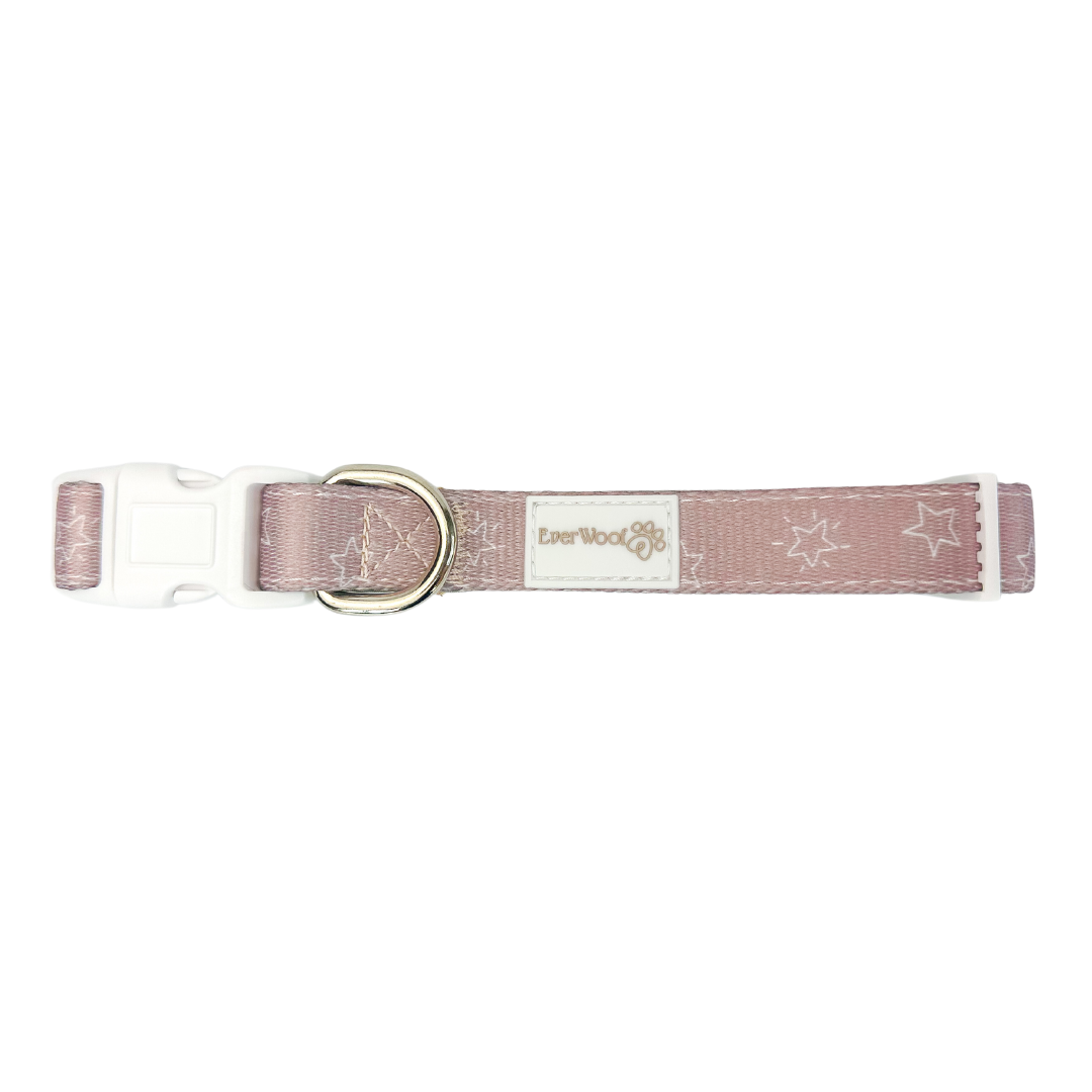 Asteria Collar Dog Collar | Purrfect Pet Kingdom
