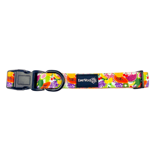 Tutti Frutti Collar Dog Collar | Purrfect Pet Kingdom