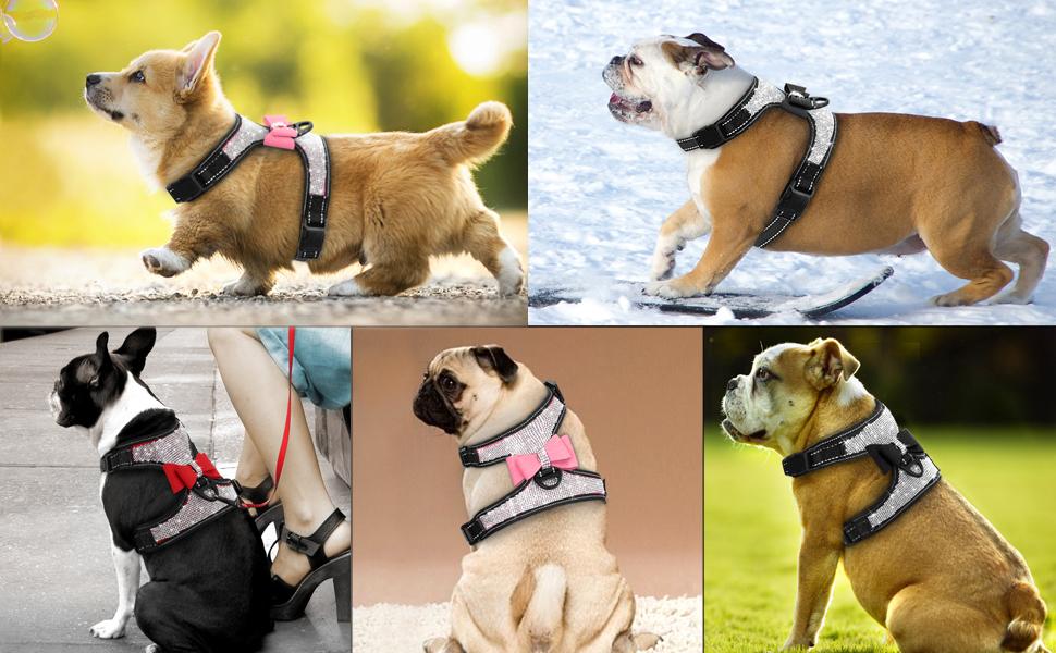 Dog Harness+Leash Sets with Rhinestones – Sparkly Bowknot & Reflective Trim