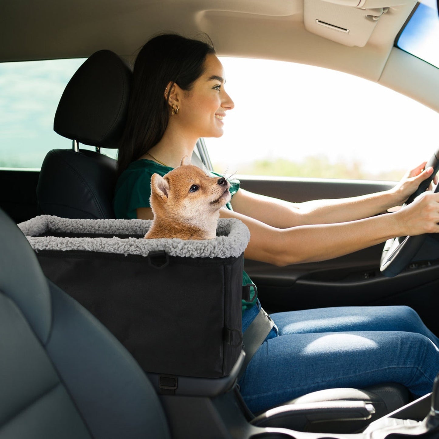 GBruno Small Dog Car Seat