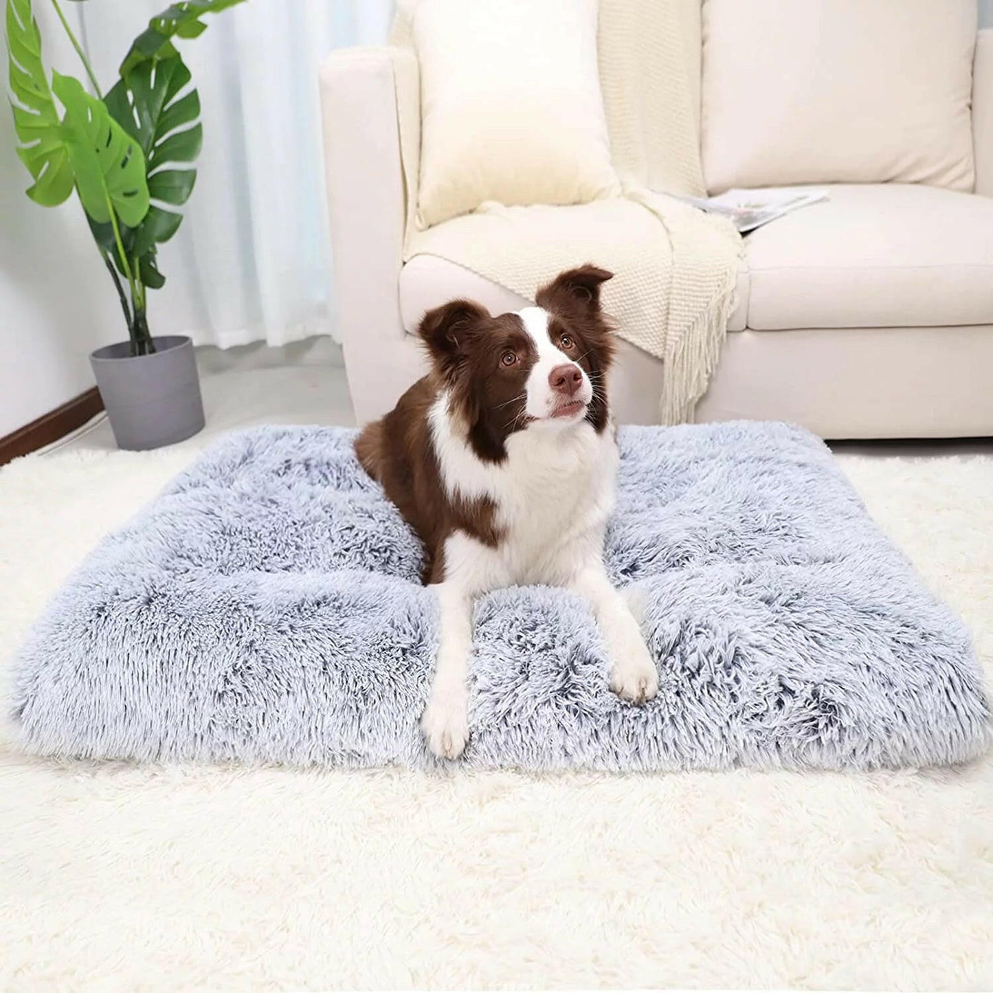Large Dog Mat Anti-Anxiety Washable Non-Slip 🛏️