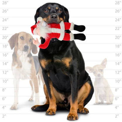 Mighty Arctic Series Santa Christmas Holiday Durable Tough Dog Toy - 2 Sizes