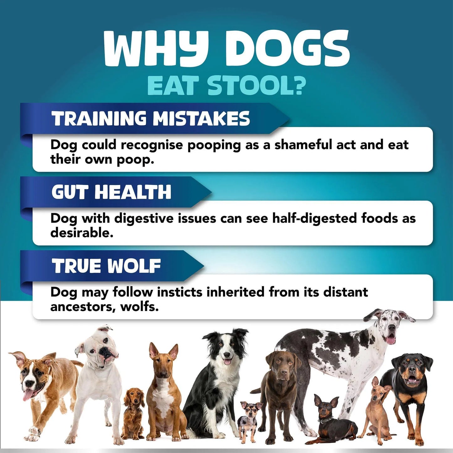 Dog No Poo Chews - Probiotic Supplement to Stop Stool Eating