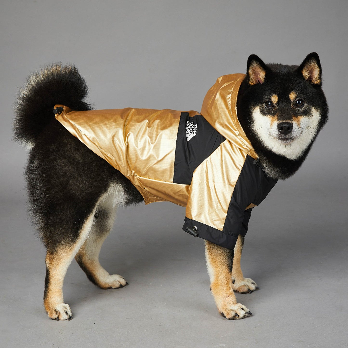 Dog Raincoat – Hooded Waterproof Jacket for All Weather