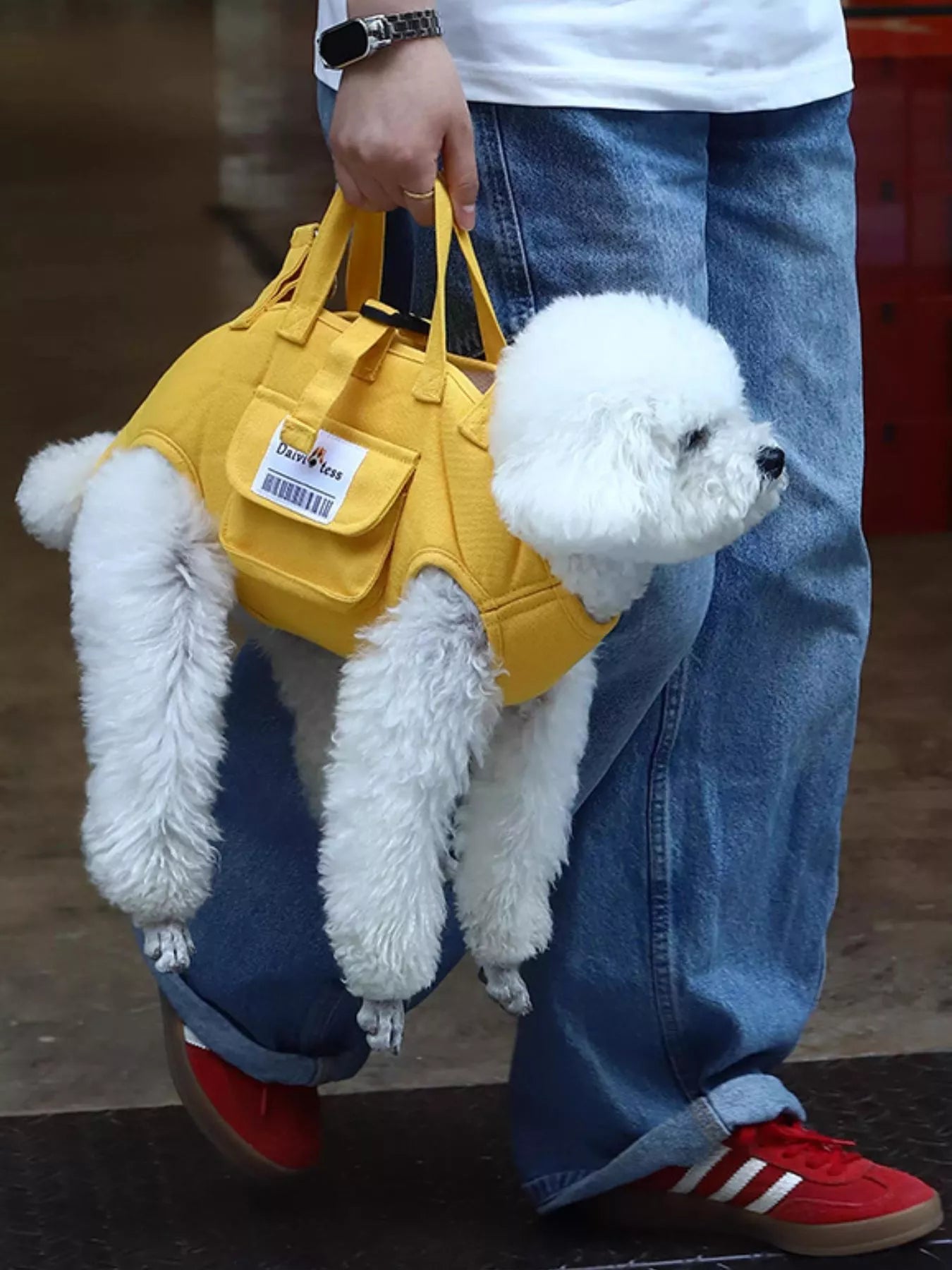 Pet Carrier - Portable Safety Harness Travel Carrier