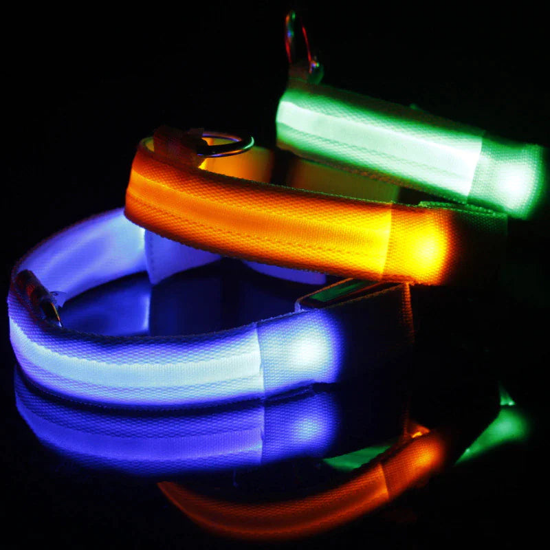 Royal Luminous Safety Pet Collar Adjustable LED Night Visibility 💡👑