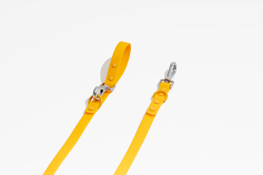 Luxe Leash - Soleil - Dog Leashes - Pawmigo