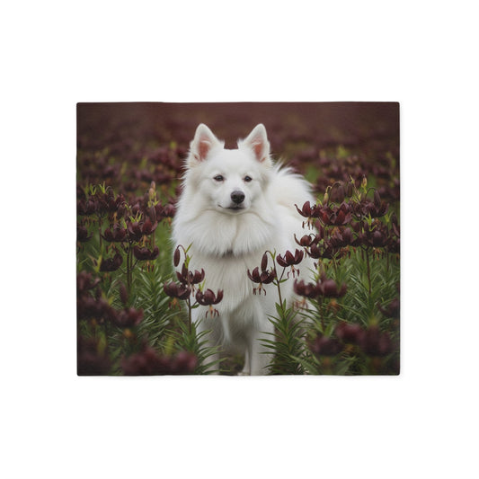 American Eskimo Dog Sweatshirt Blanket