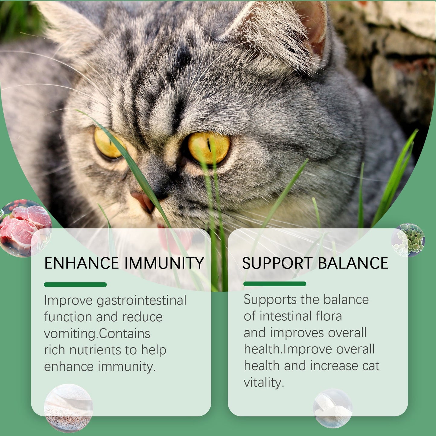 Cat Grass Tablets For Healthy Pets For Cats And Dogs To Absorb Nutrients Rich In Dietary Fiber Tablets