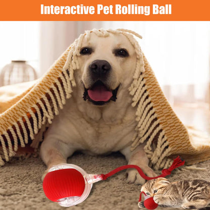 Interactive Smart 360 Rolling Ball Toy for Active Pet Cats