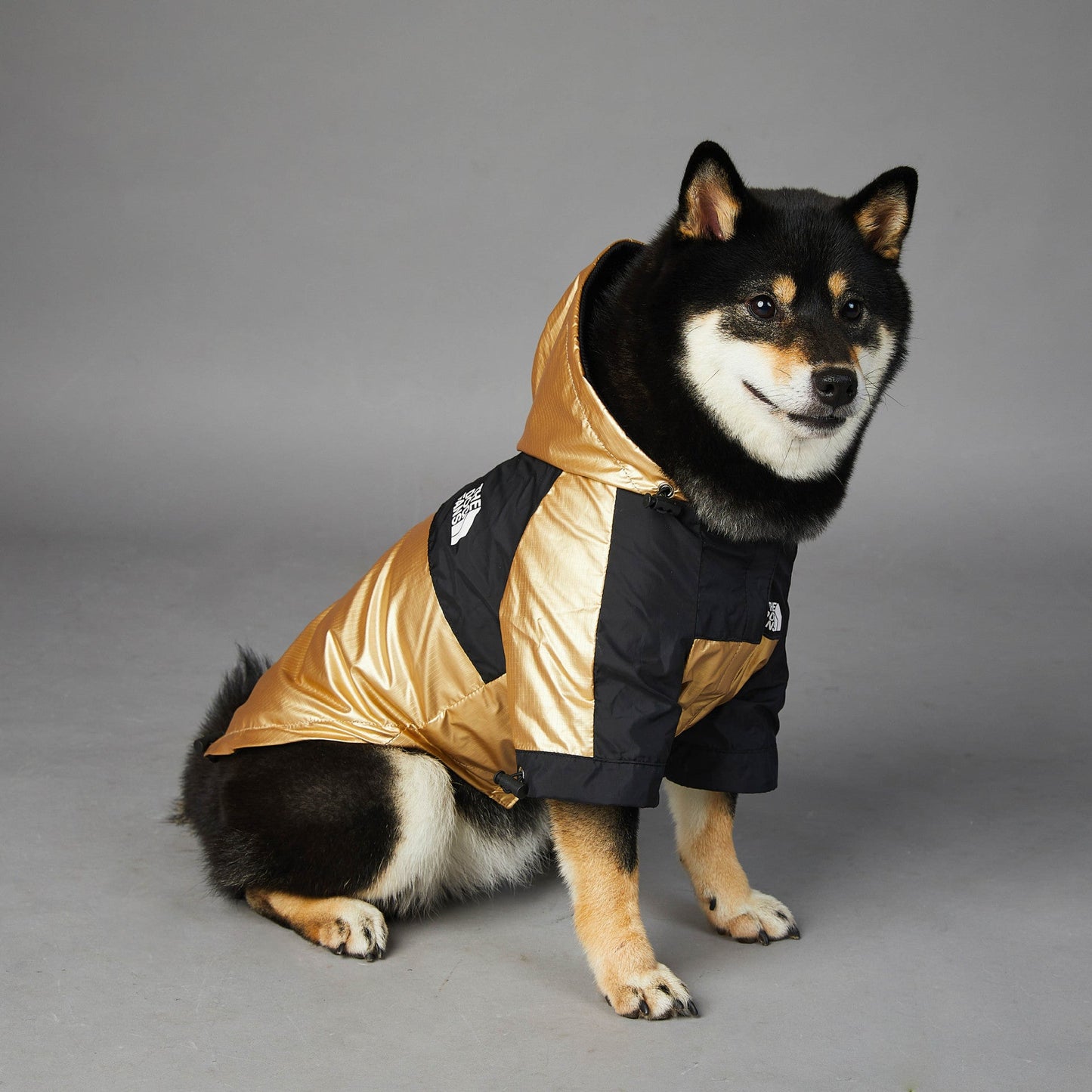 Dog Raincoat – Hooded Waterproof Jacket for All Weather