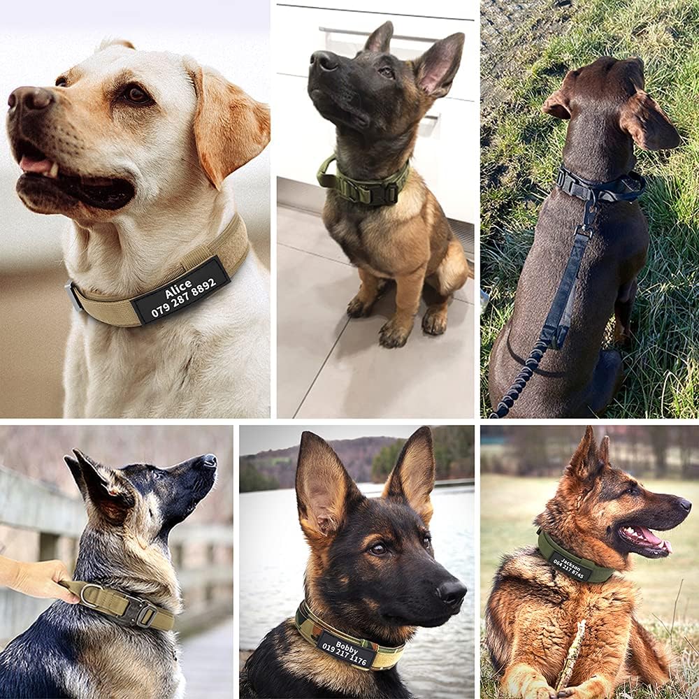 Dog collar+leash set Military-Style Tactical Nylon Collar for Large dogs