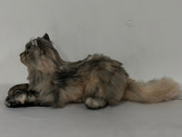 Plush American Tabby Cat Longhair Order to Make