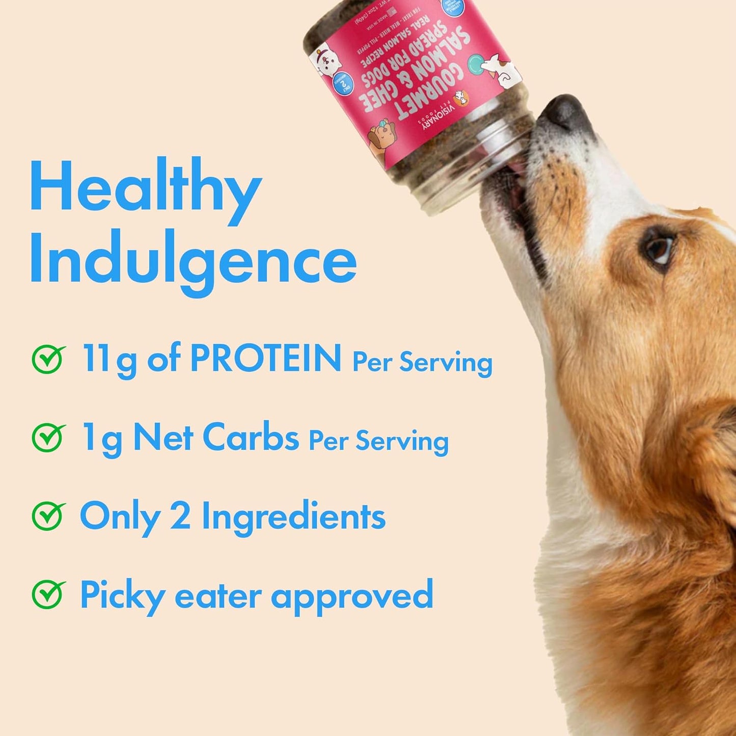 Salmon and Ghee Meat Spread | NEW 12oz Jar - Dog Treat - Visionary Pet Foods