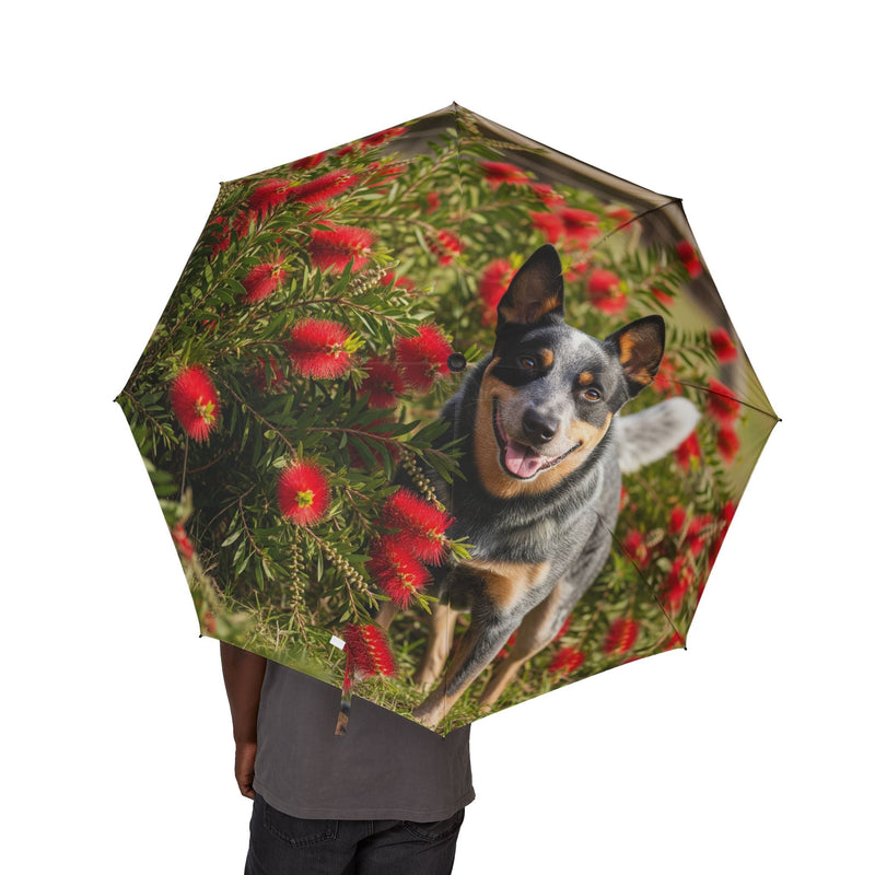 Australian Cattle Dog Semi-Automatic Foldable Umbrella