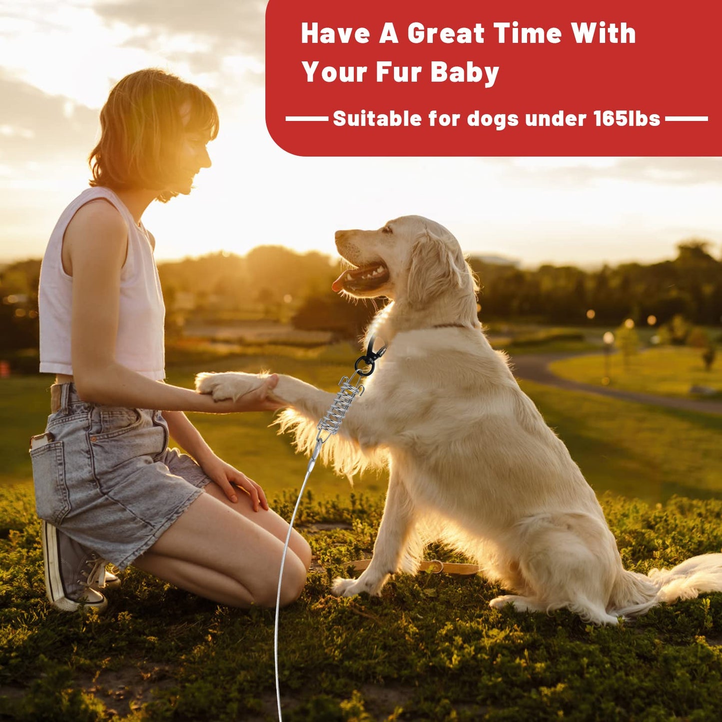 HaiYUAN Dog Tie Out Cable Steel Wire with Clips Blue 10-30 F