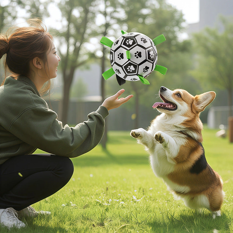 Dog Toy Ball for Teeth Cleaning and Durable Chewing Dog Soccer Ball for Outdoor Use - Purrfect Pet Kingdom