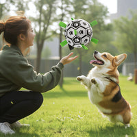 Dog Toy Ball for Teeth Cleaning and Durable Chewing Dog
