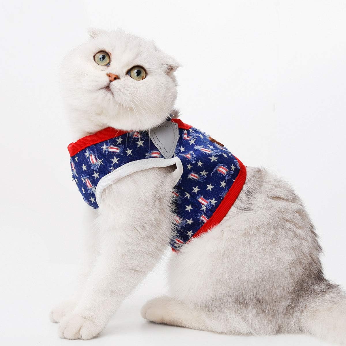 Denim Dog Harness with Star Print & Secure Buckle