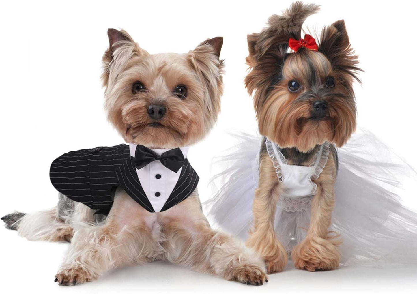 Dog Tuxedo Suit with Bow Tie – Wedding & Formal Outfit