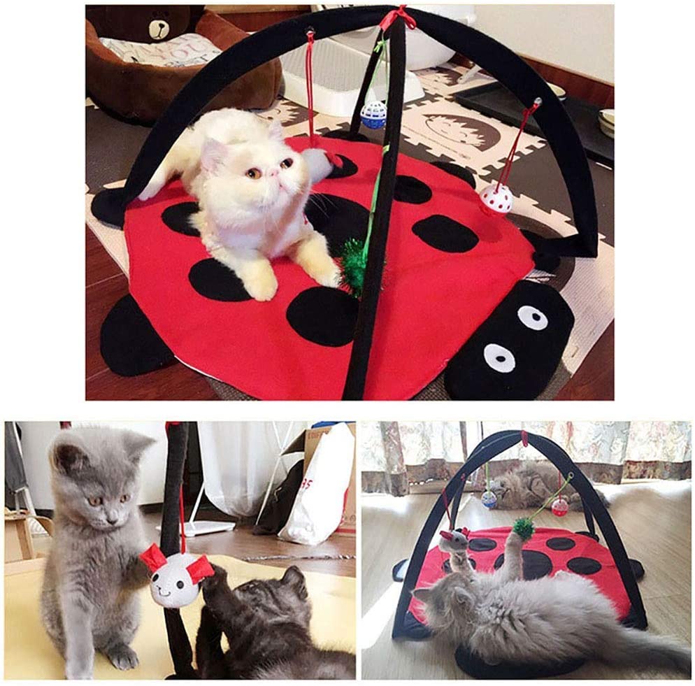 Black Ladybug Cat Play Mat - Purrfect Pet Kingdom
