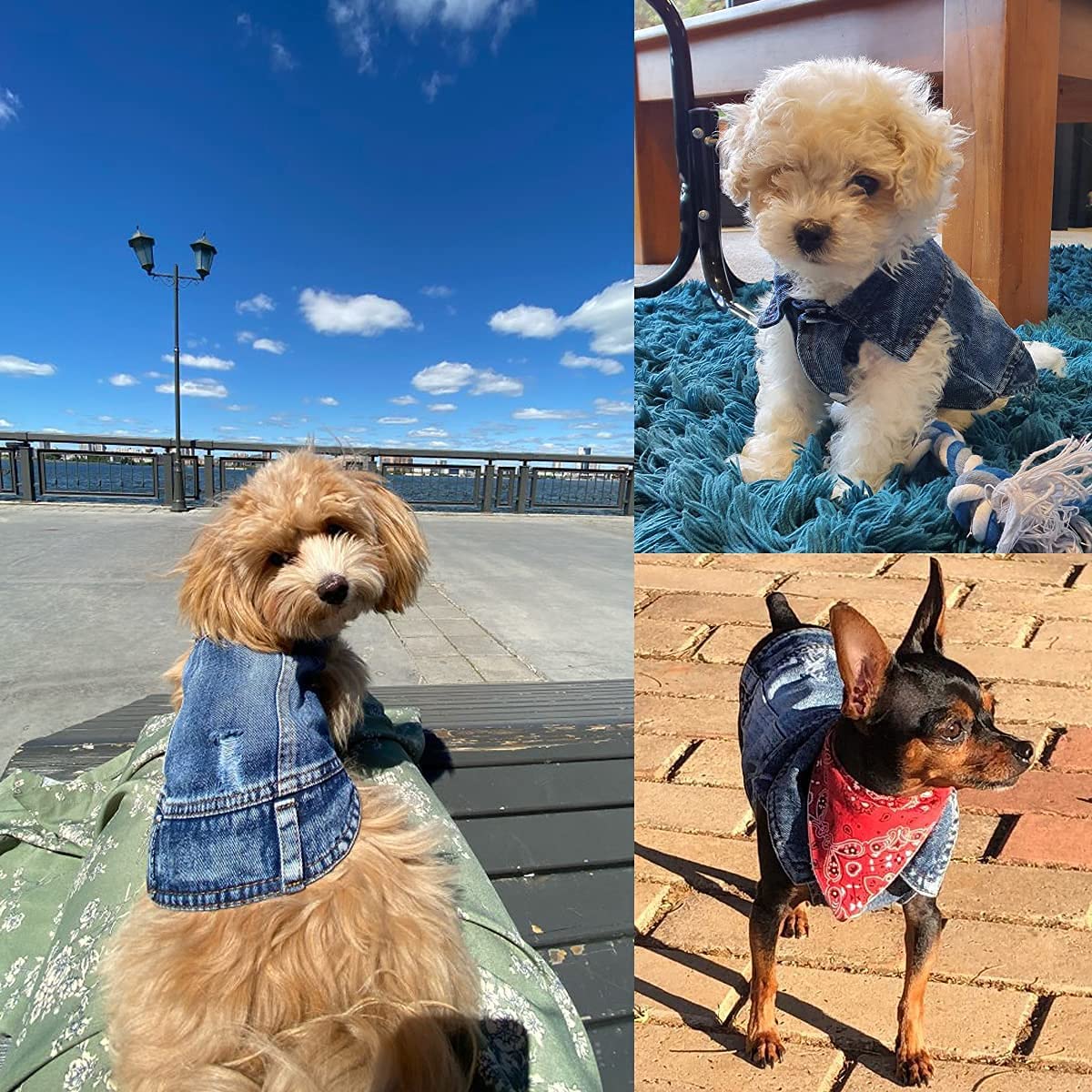 Pet Dog Cat Blue Denim Jeans Jacket Coat Vest - Purrfect Pet Kingdom